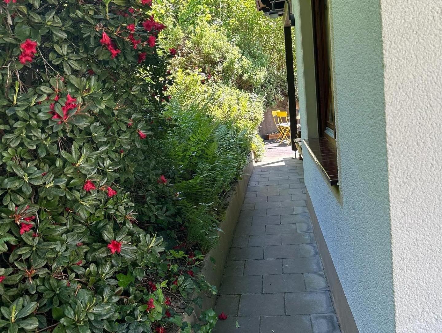 Ferienwohnung Sonneck ألتينار المظهر الخارجي الصورة